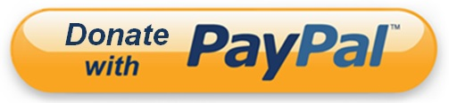 Payment option 1